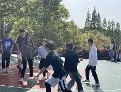 WANBO SPORTS-乌迪内斯的比赛动图